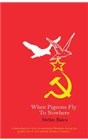When Pigeons Fly to Nowhere