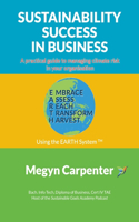 Sustainability Success in Business