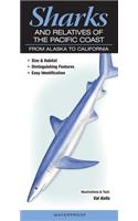 Sharks and Relatives of the Pacific Coast