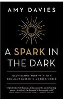 A Spark in the Dark