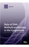 Role of DNA Methyltransferases in the Epigenome