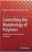 Controlling the Morphology of Polymers