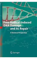 Free-Radical-Induced DNA Damage and Its Repair