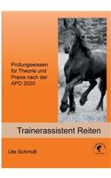 Trainerassistent Reiten