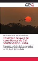 Ensamble de aves del cerro Hornos de Cal, Sancti Spíritus, Cuba