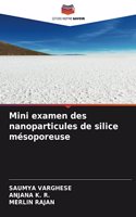 Mini examen des nanoparticules de silice mésoporeuse