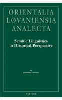 Semitic Linguistics in Historical Perspective