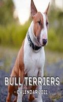 Bull Terriers