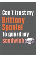 Can't trust my Brittany Spaniel to guard my sandwich: For Brittany Spaniel Dog Breed Fans