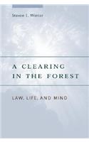 A Clearing in the Forest