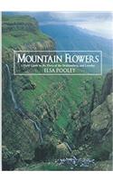 Mountain Flowers