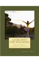 Look Into the Stillness