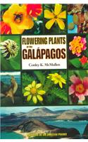 Flowering Plants of  the Galapagos