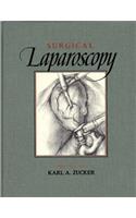 Surgical Laparoscopy