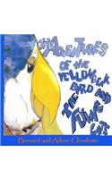 Adventures of the Yellow Beak Bird and The Flying Cats