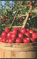 Apples in the Orchard Portable Notebook