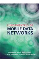 Fundamentals of Mobile Data Networks