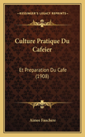 Culture Pratique Du Cafeier