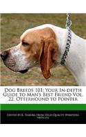 Dog Breeds 101