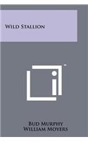 Wild Stallion