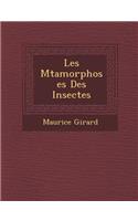 Les M Tamorphoses Des Insectes