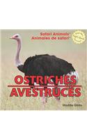 Ostriches / Avestruces