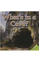 What's in a Cave?: (Infomax Readers)