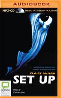Set Up: (Detective Inspector Carol Ashton Mystery)
