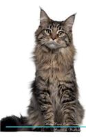 Maine Coon Cat Affirmations Workbook Maine Coon Cat Presents: Positive and Loving Affirmations Workbook. Includes: Mentoring Questions, Guidance, Supporting You.