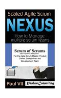Scaled Agile Scrum: Nexus & Scrum of Scrums: Agile Programme Management
