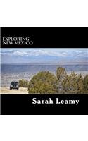 Exploring New Mexico