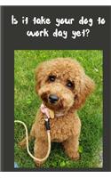 Is it take your dog to work day yet?
