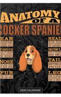 Anatomy Of A Cocker Spaniel: Cocker Spaniel 2020 Calendar - Customized Gift For Cocker Spaniel Dog Owner