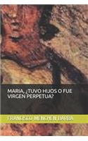 Maria, ¿tuvo Hijos O Fue Virgen Perpetua?