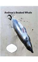 Andrew's Beaked Whale Wide Ruled Line Paper Composition Book: Whale fans, Elementary Notebooks, Casual writing, Ederly notebooks, journals