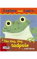 Tiny Tiny Tadpole Board Book