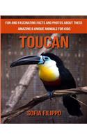 Toucan