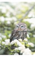 Little Owl And Tree Blossoms - Lined Notebook with Margins: 101 Pages, Medium Ruled, 6 x 9 Journal, Soft Cover