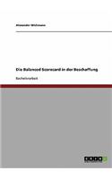 Die Balanced Scorecard in der Beschaffung: (German)