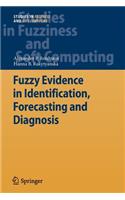 Fuzzy Evidence in Identification, Forecasting and Diagnosis