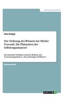 Die Ordnung des Wissens bei Michel Foucault. Ein Phänomen der Selbstorganisation?