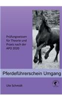 Pferdeführerschein Umgang