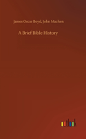 Brief Bible History