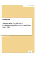 Systematischer Überblick über Förderungsmöglichkeiten für Unternehmen in der BRD: (German)