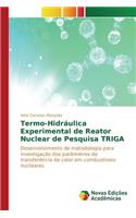 Termo-Hidráulica Experimental de Reator Nuclear de Pesquisa TRIGA