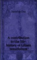 contribution to the life-history of Lilium tenuifolium