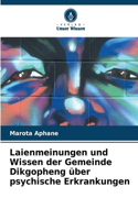 Laienmeinungen und Wissen der Gemeinde Dikgopheng über psychische Erkrankungen