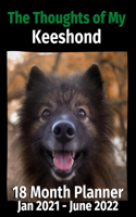 Thoughts of My Keeshond