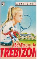 Boy Trouble at Trebizon: (Book 4 Puffin Books)