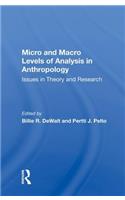 Micro and Macro Levels of Analysis in Anthropology